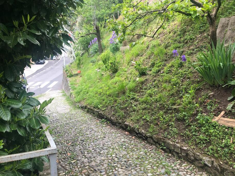 Oria Casa Orchidea公寓 外观 照片